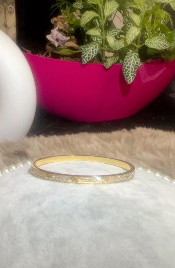 Bracelet Rigide Style Vis perle asserti
